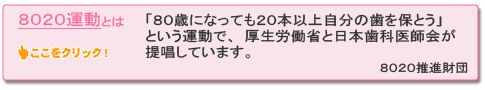 8020運動とは